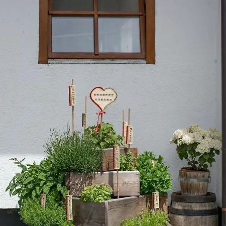 Κατάλυμα σε φάρμα Vorderkasbichlhof