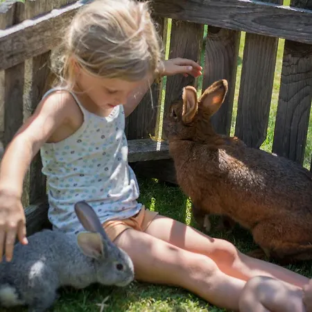 Vorderkasbichlhof Séjour à la ferme