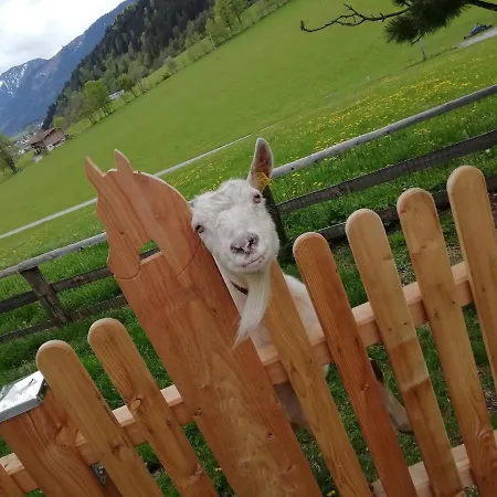 Séjour à la ferme Vorderkasbichlhof *