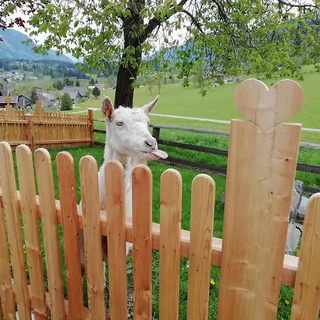 Vorderkasbichlhof Séjour à la ferme