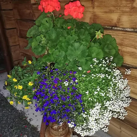 Κατάλυμα σε φάρμα Vorderkasbichlhof Saalfelden