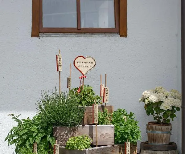 Farmház Vorderkasbichlhof