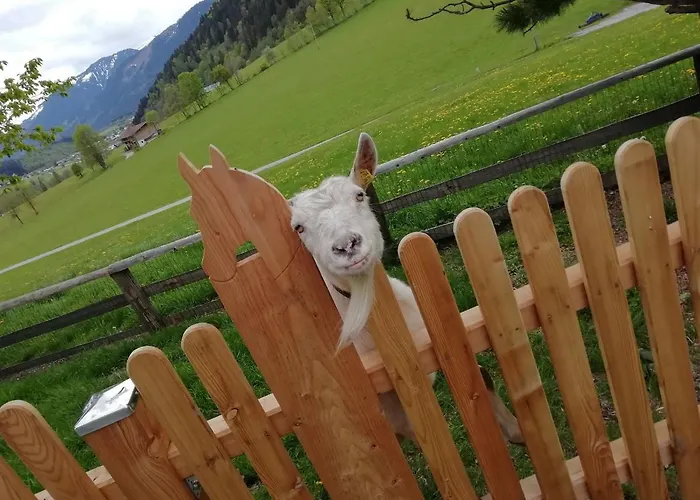 Farmház Vorderkasbichlhof *