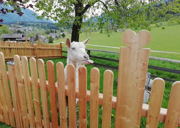 Vorderkasbichlhof Farmház